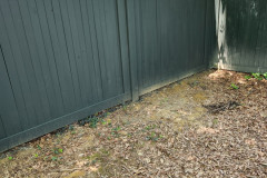 Stained Privacy Fence